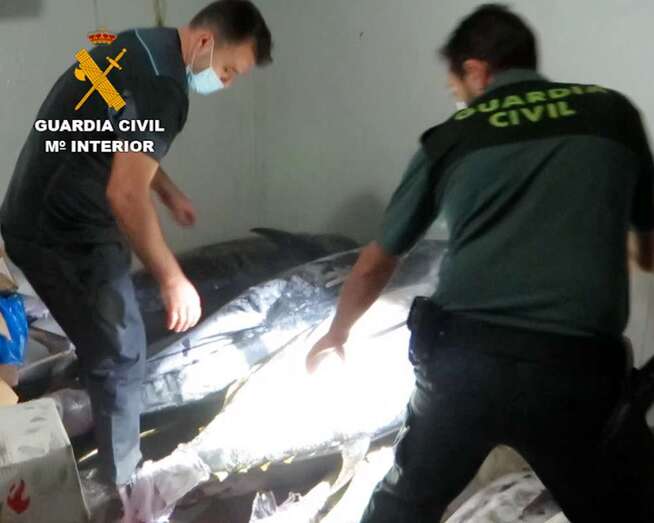 Intervención de agentes del Seprona/TA.